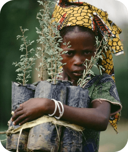 Cerebral Palsy Sporting and Tree Planting Event image